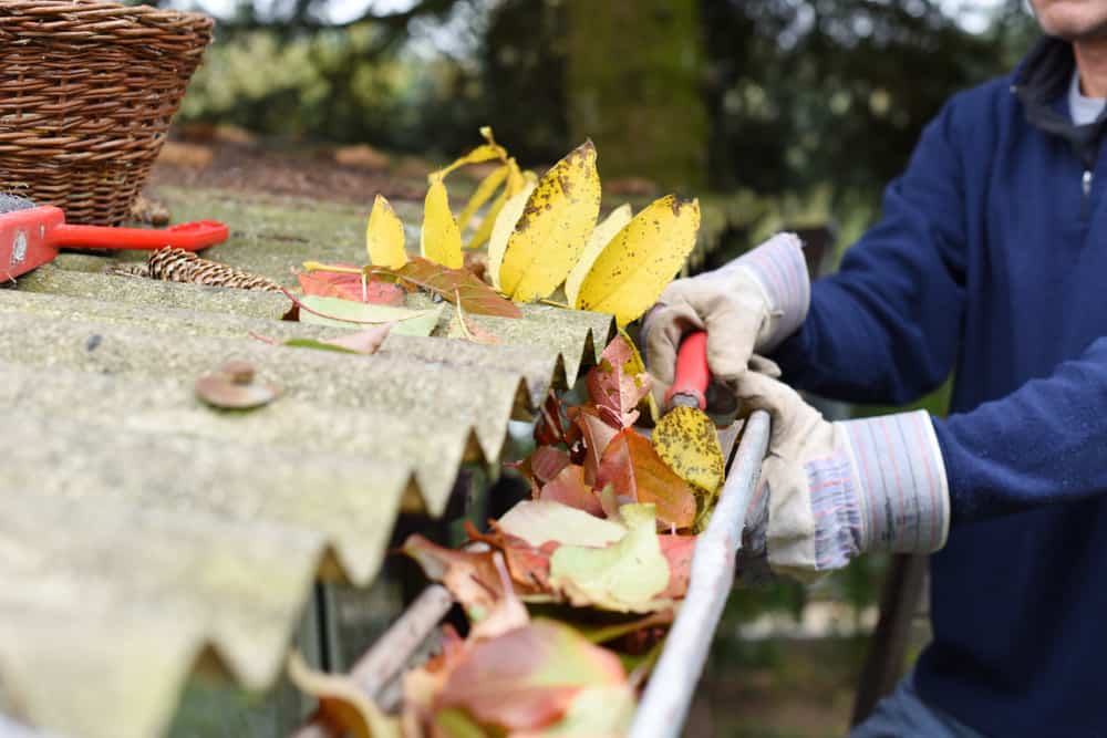 Person cleans debris out of gutters to help keep your home dry during rainy weather in Washington