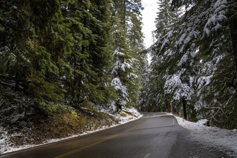 Curvy road through Washington park