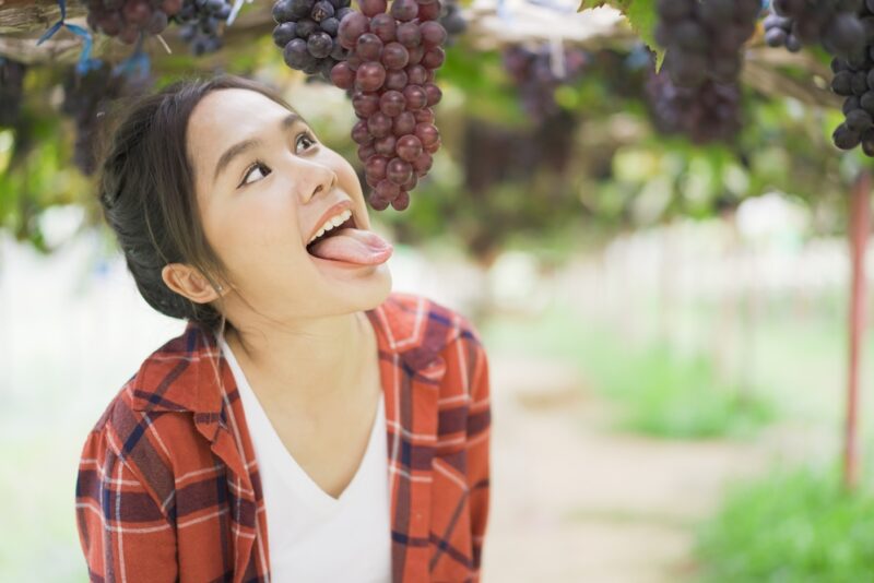 Funny face of Asian woman stick out tongue against a vine grape - car insurance in washington