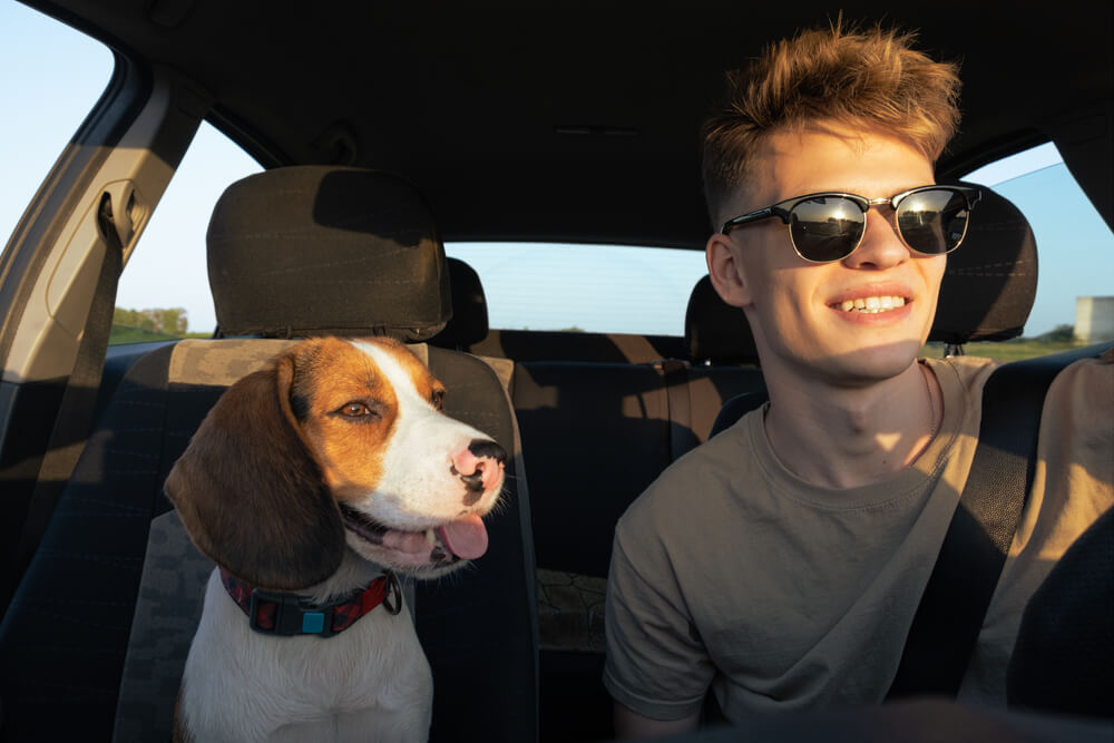 Gen Z driver with his happy pet dog in the passenger seat
